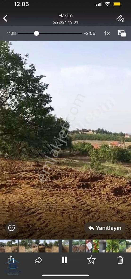 Turgutlu Dağyeniköy Satılık Tarla Takaslı & Köyiçi Tapu 6 Hisseli Elektrik Var 9200 M2 Yazlık Yeri