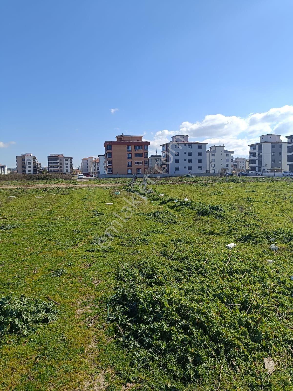 Ikı Adet Parsel Koruluk Mevkıın De Tevhıdlı Gelısmeye Acık - Görsel 2