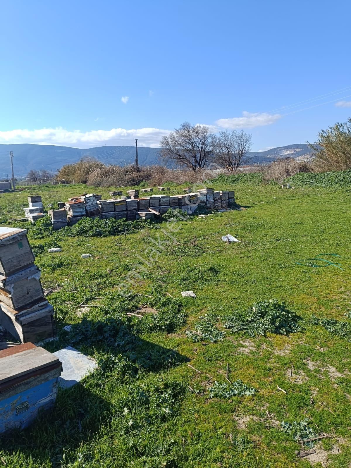 Ikı Adet Parsel Koruluk Mevkıın De Tevhıdlı Gelısmeye Acık - Görsel 5