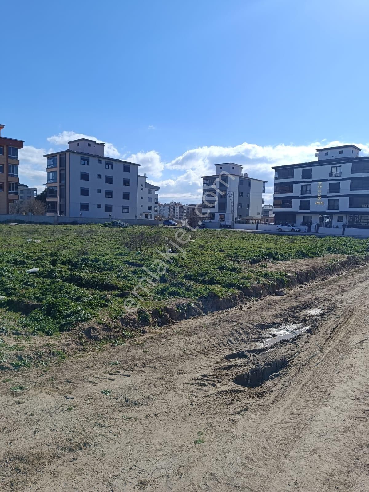 Ikı Adet Parsel Koruluk Mevkıın De Tevhıdlı Gelısmeye Acık - Görsel 9