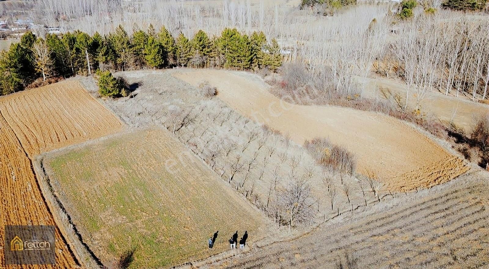 Kastamonu Merkez Subaşı Köyü Satılık Tarla Subaşında Meyvelik 2 Bin M² Fırsat Arazi Satılık