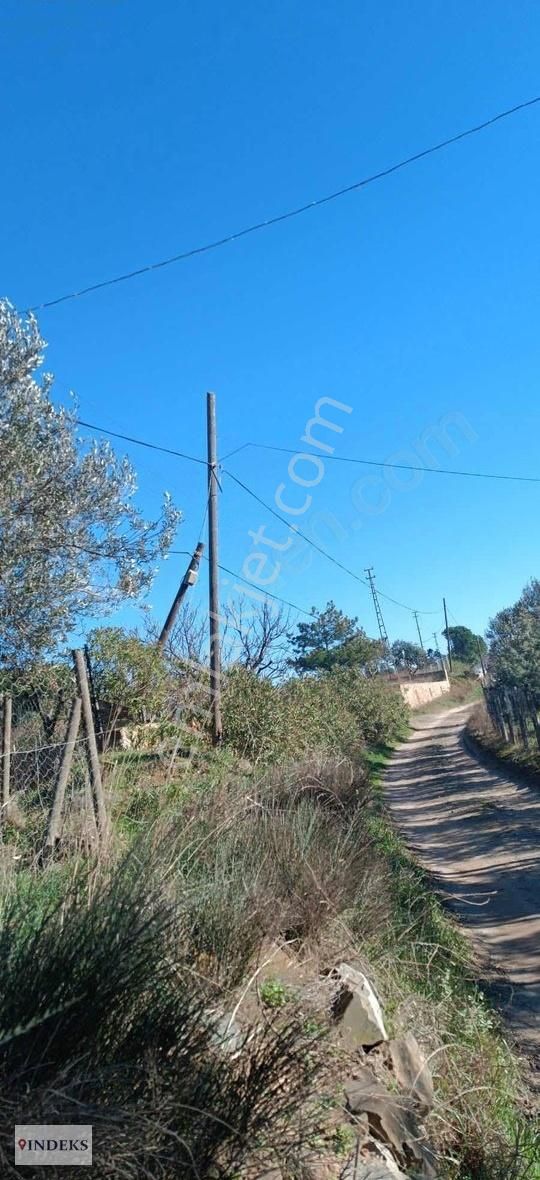 Bozcaada Alaybey Satılık Bağ & Bahçe Satılık Bozcaada Merkeze Yakın Kadastral Yolu Olan Hobi Bahçesi