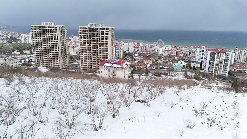 Akçaabat Söğütlü Satılık Konut İmarlı Abdi Bostan Gayrimenkul'den Akçaabat Söğütlü'de Satılık Arsa