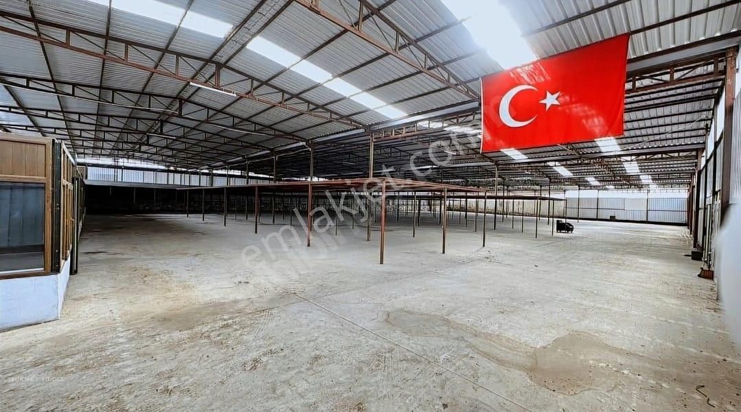 Menderes Ataköy Satılık Fabrika Menderes'de Villa Fiyatına 18 Dönüm Üretim Tesisi