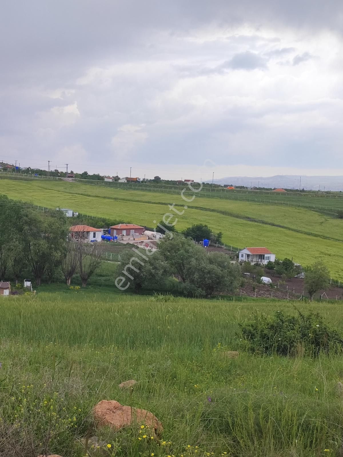 Altındağ Gicik Satılık Tarla Altındağ Gicik ‘de Satılık İmara Yakın 1 Dönüm