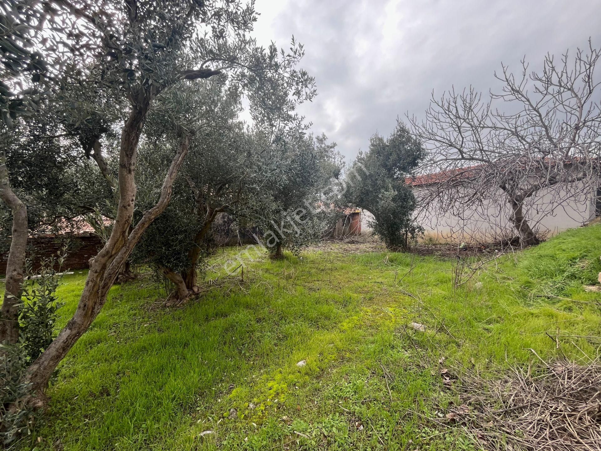 Kayacık'ta Satılık Müstakil Ev Ve 396 M² Arsa Hissesi - Görsel 26