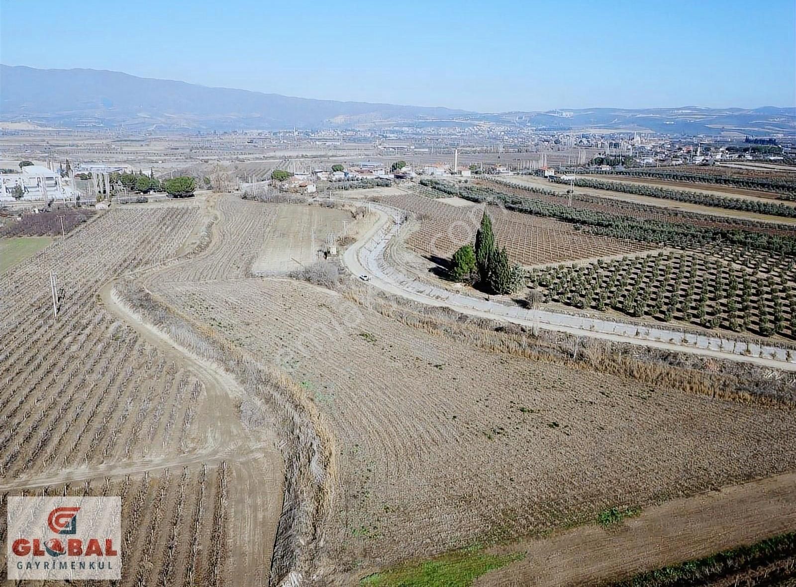 Salihli Taytan Satılık Tarla Taytan Mahallesi Satılık 15400 Mt Tarla....