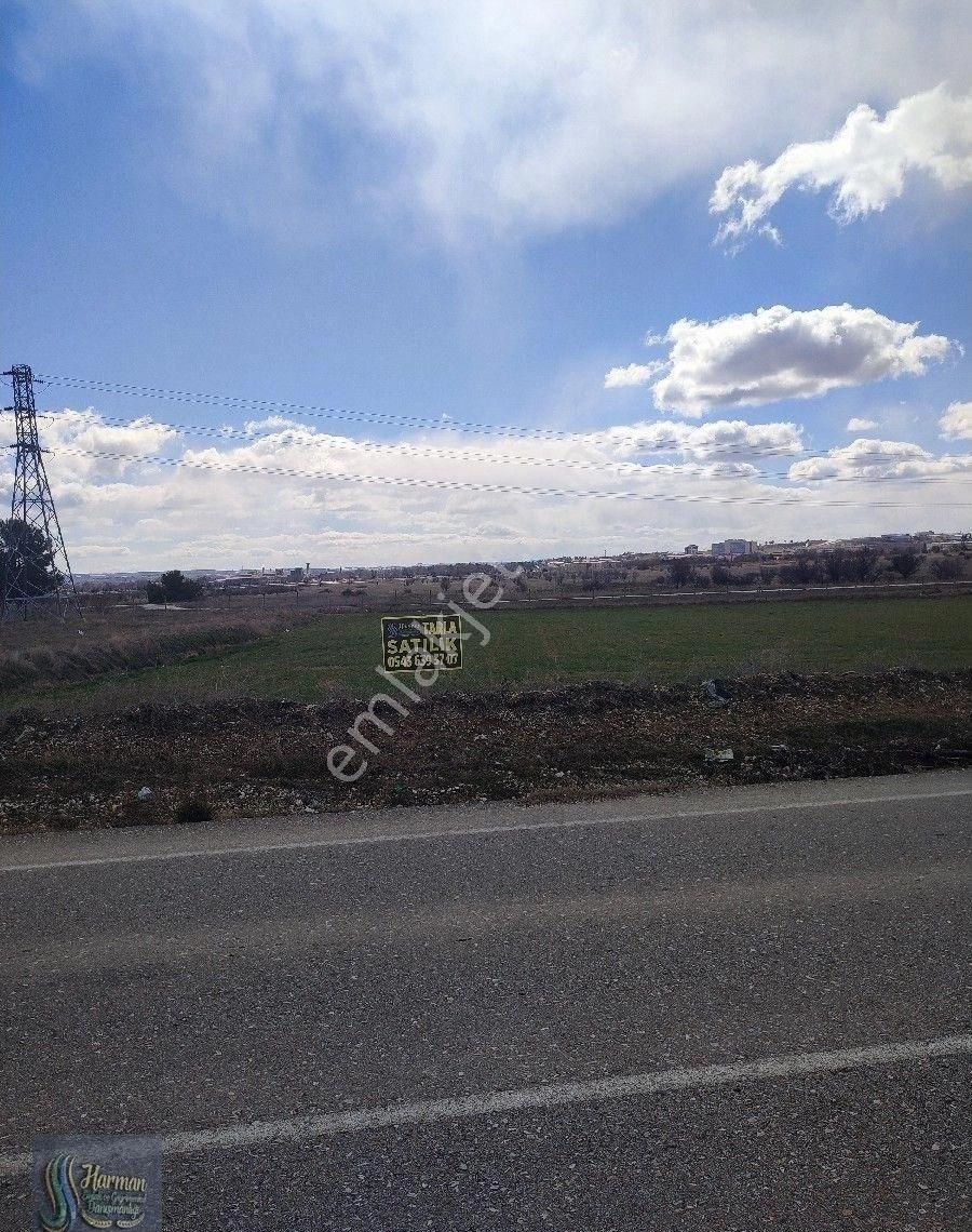 Uşak Merkez Kılcan Köyü (Kılcan Mücavir) Satılık Tarla Havaalanı Arkası Bozkuş Yoluna Cephe Satılık Tarla