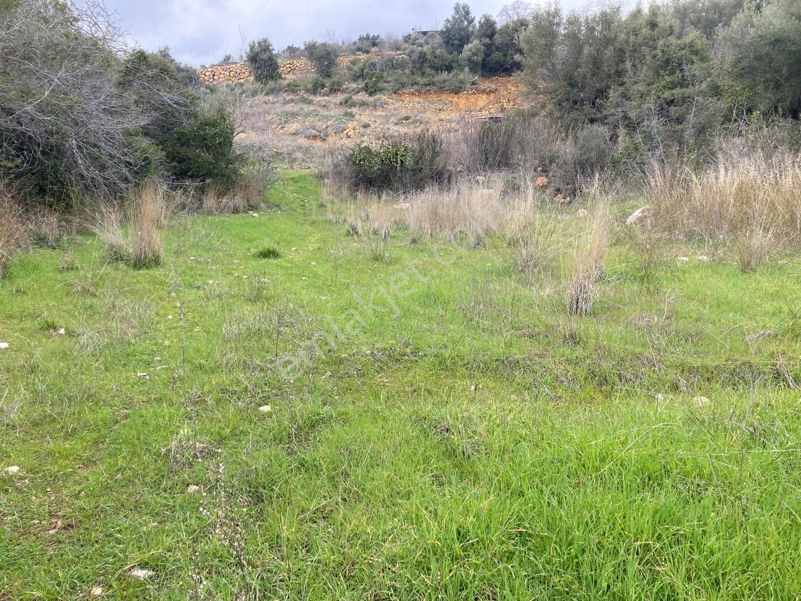 Erdemli Batısandal Satılık Tarla Mersin Erdemli Batısandal Da Satılık Yatırımlık Tarla