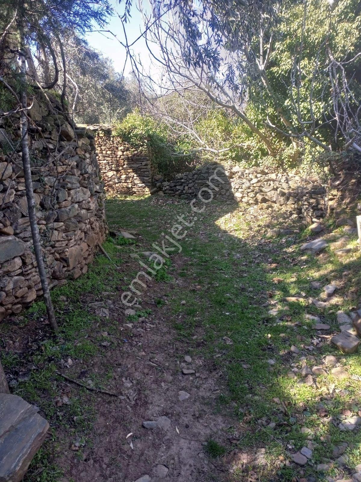 Gho Adalılar'dan Aydın Karacasu'da 1652 M2 Satılık Bahçe Ve Taş Ev