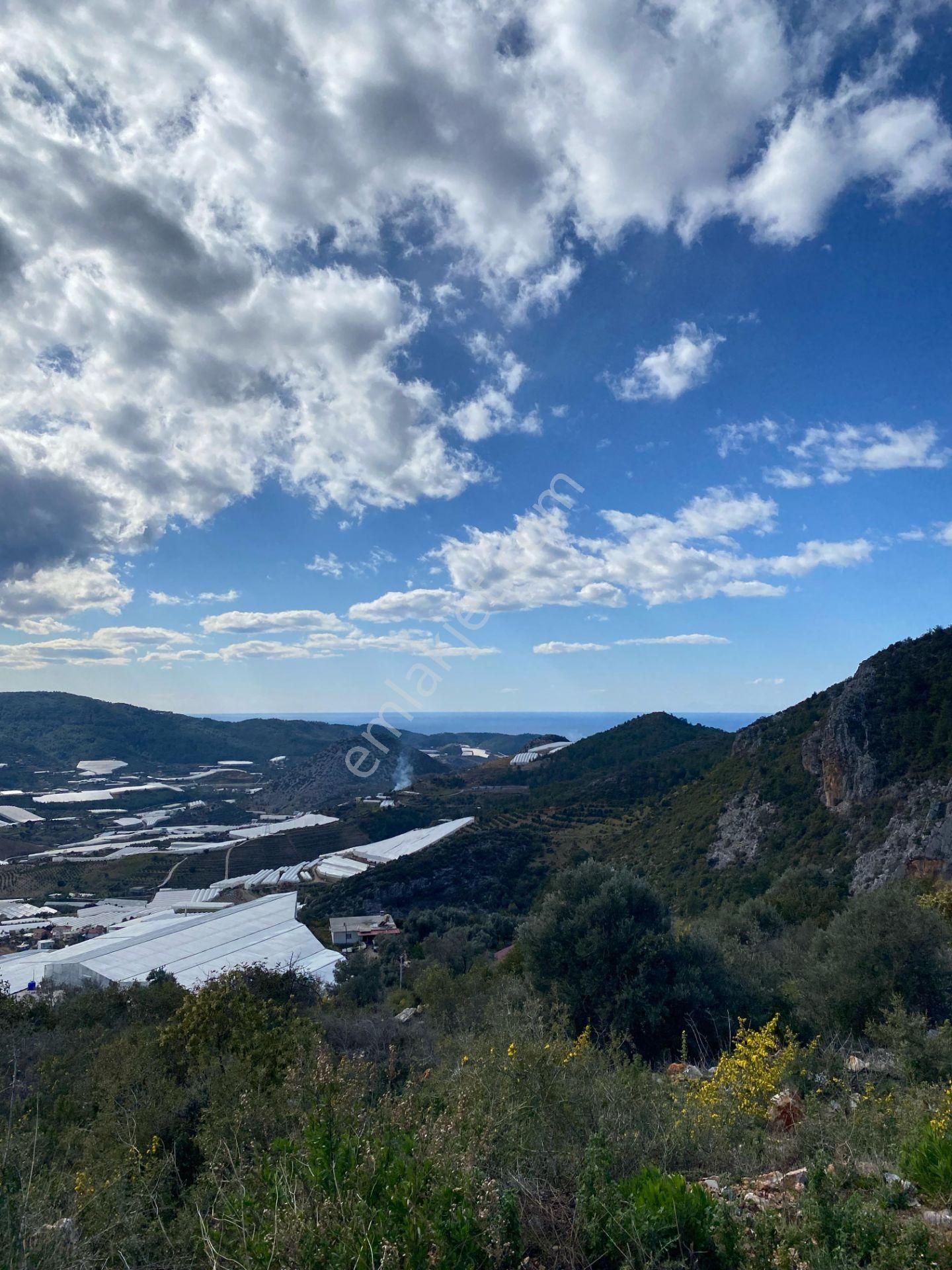 Alanya Hocalar Satılık Tarla Alanya / Hocalar Mahallesi 10.700 M2 Deniz Manzaralı Tarla