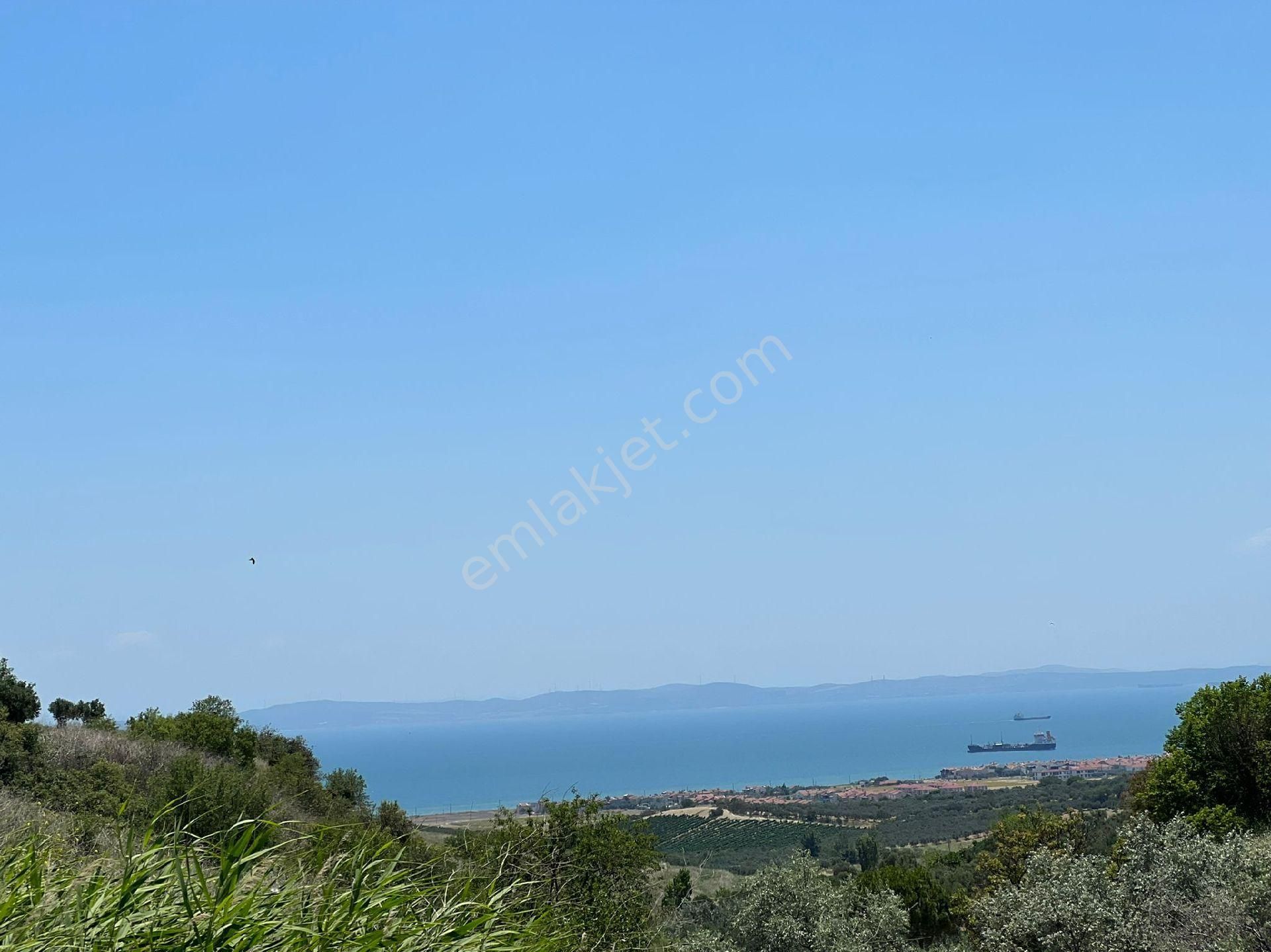 Şarköy İğdebağları Satılık Tarla Şarköy İğdebağlar 18 Dönüm Tek Parça Deniz Manzaralı Müstakil Parsel Tarla Satılık