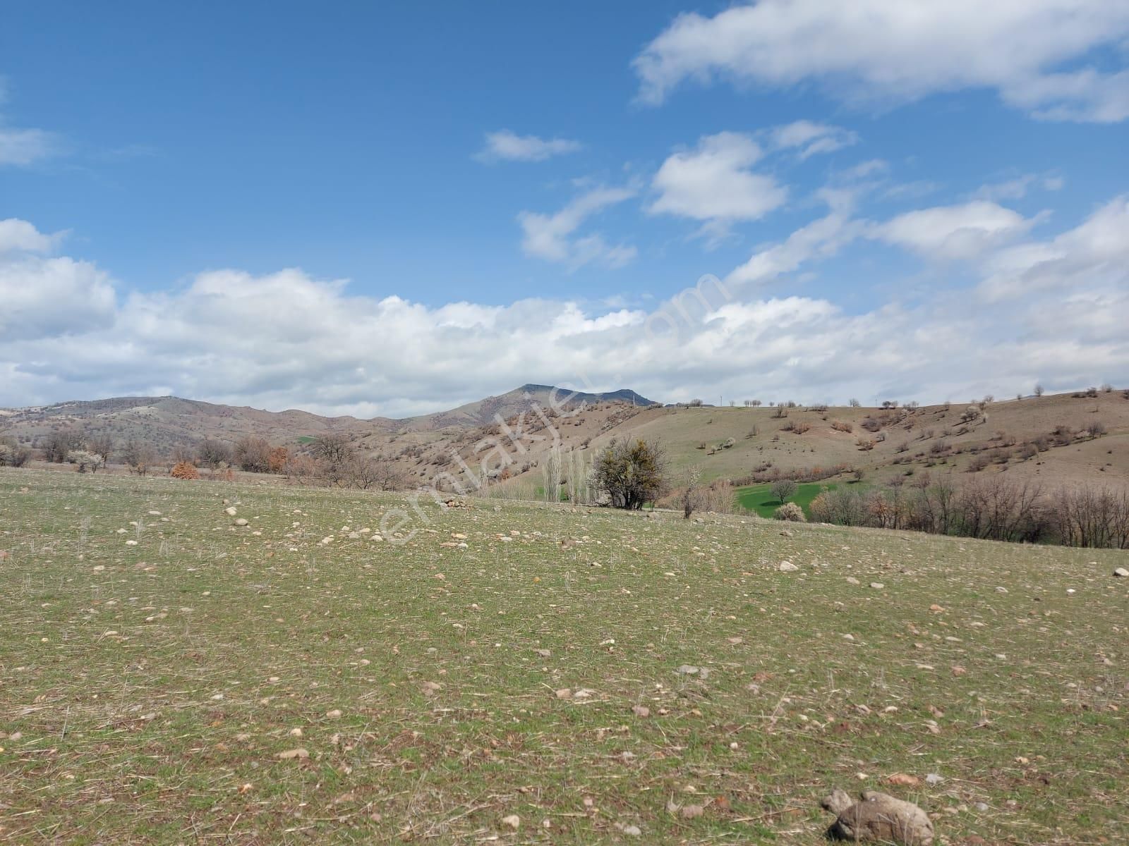 Kızılcahamam Çeltikçi Satılık Tarla Fırsat__kızılcahamam-çeltikçi__satılık__tek Tapu__1.770m2 Tarla