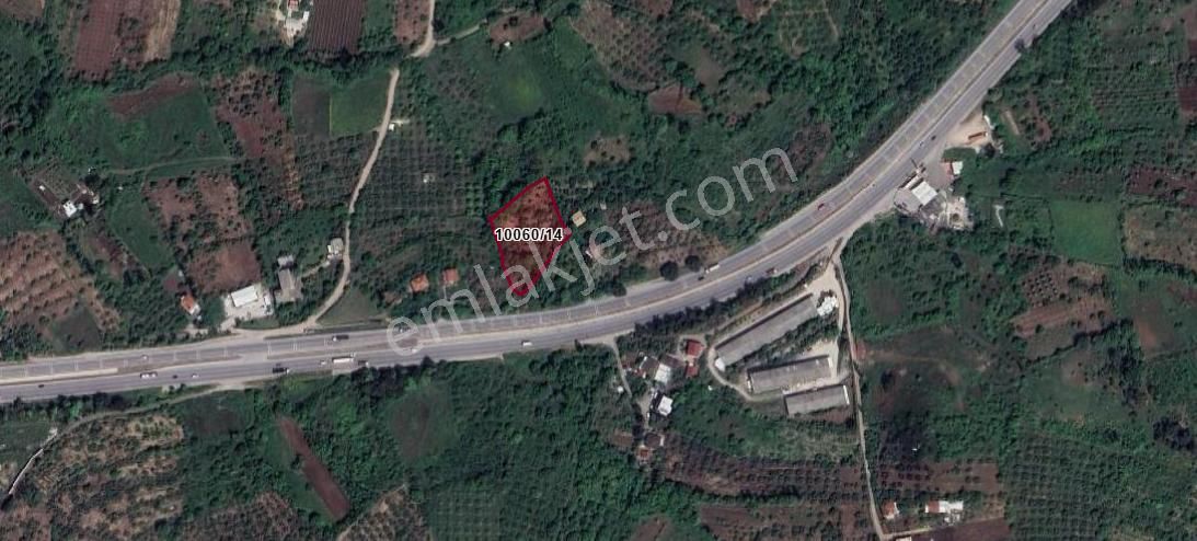 Dürdane Köyünde Satılık 3500 M2 Yatırımlık Tarla - Görsel 2