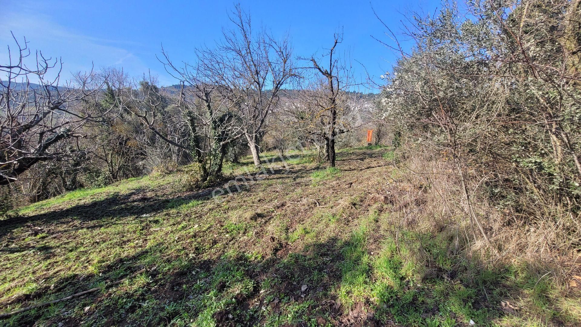 Dürdane Köyünde Satılık 3500 M2 Yatırımlık Tarla - Görsel 8