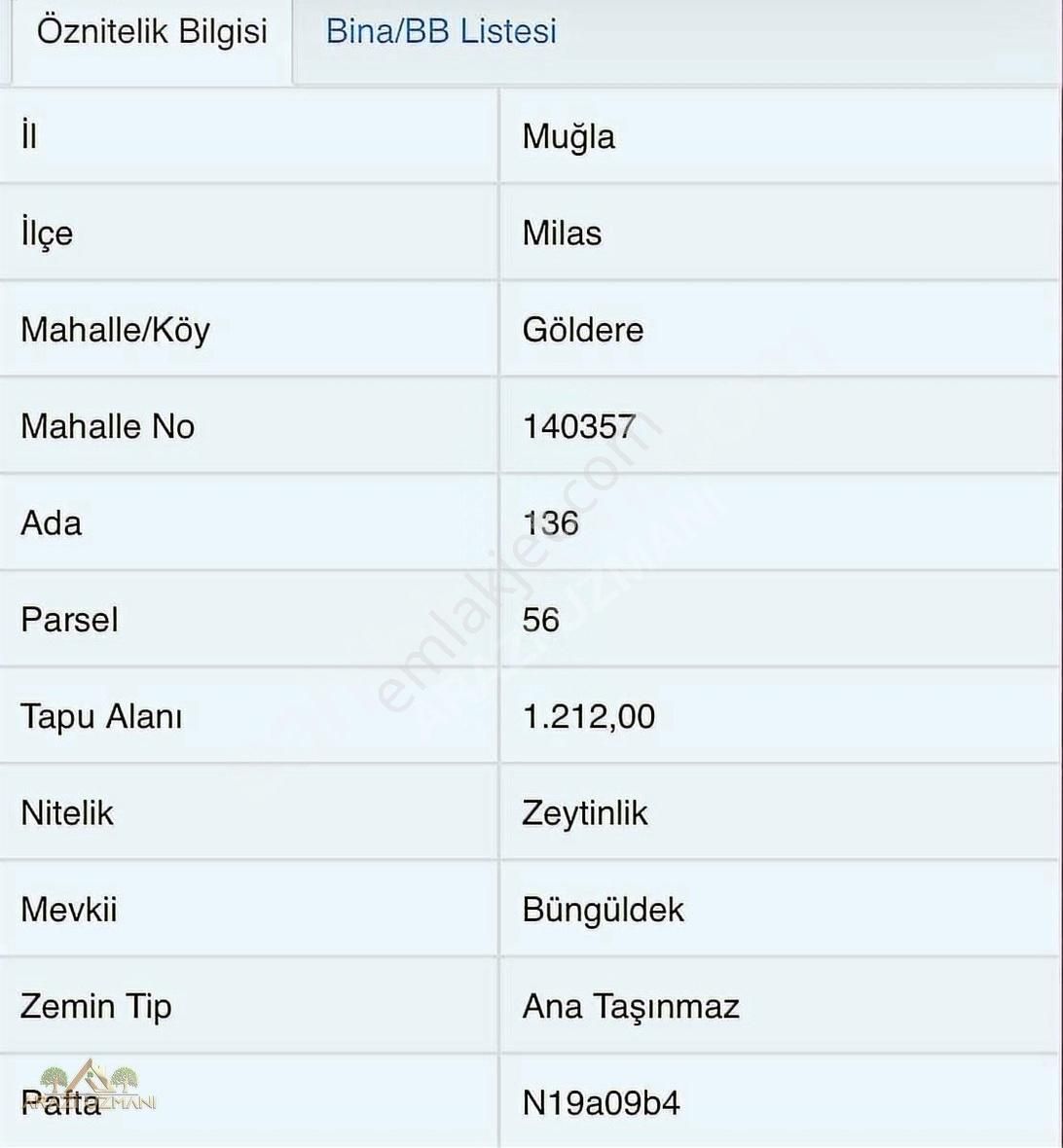 Milas Göldere Satılık Zeytinlik Arazi Uzamanın'dan Milas Göldere'de 1.200 M2 Satılık Zeytinlik