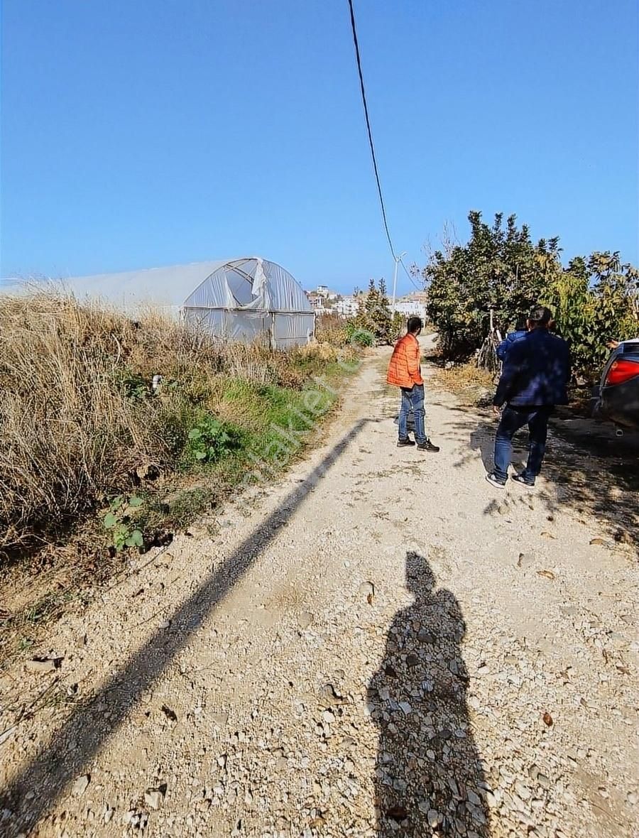 Bandırma Yenice Satılık Tarla Sahil Yenicede Köy İçinde Tarla Vasfında Köy Evi Yapımına Uygun