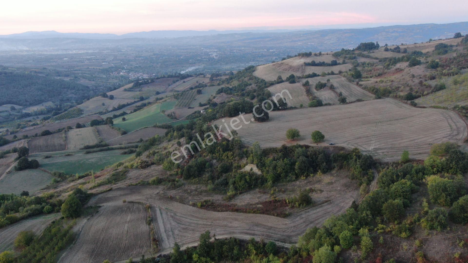 Muratbey'de 14.347m2 Yatırımlık Tarla Resmi Yola Cepheli - Görsel 4