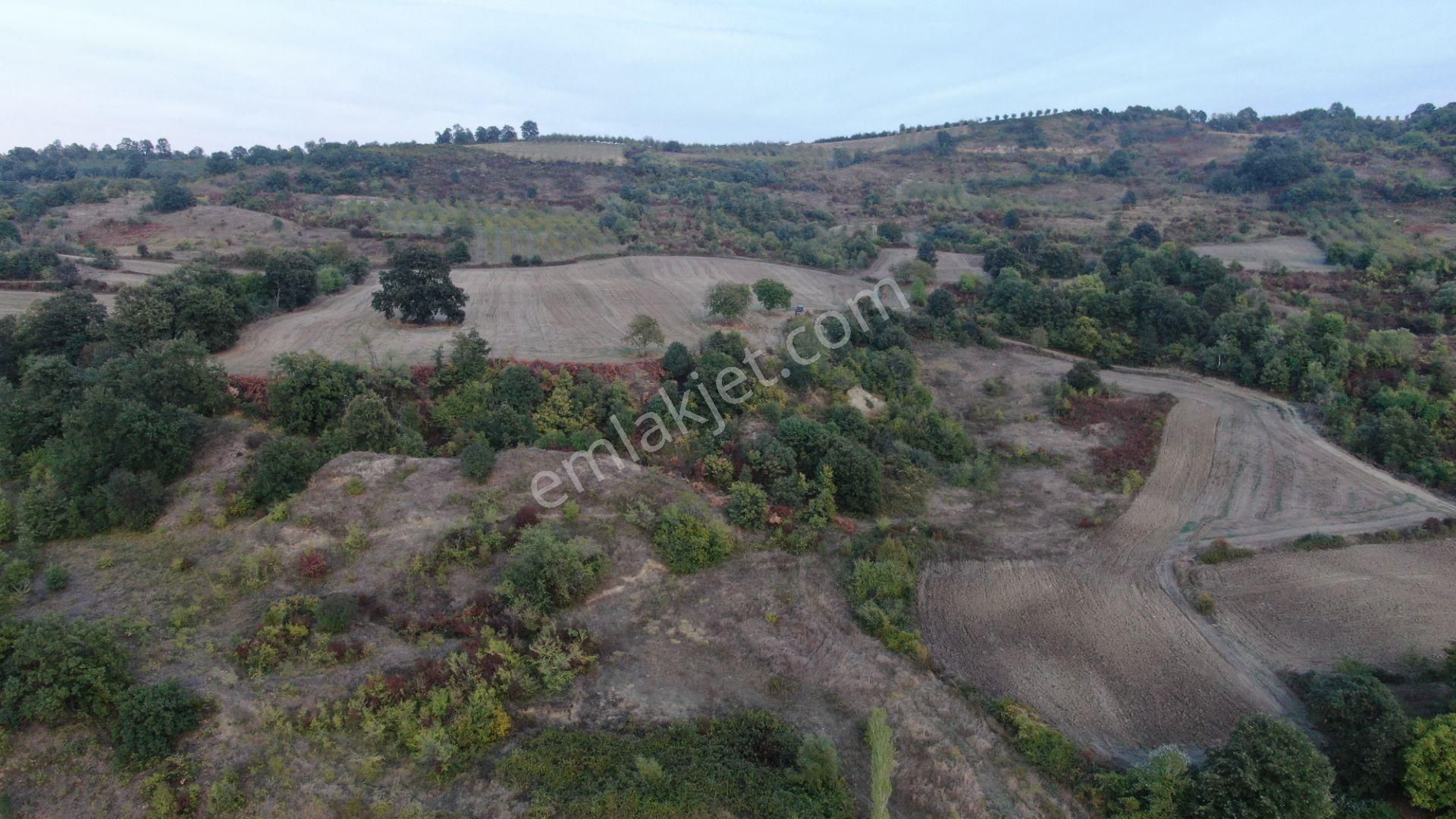 Muratbey'de 14.347m2 Yatırımlık Tarla Resmi Yola Cepheli - Görsel 15