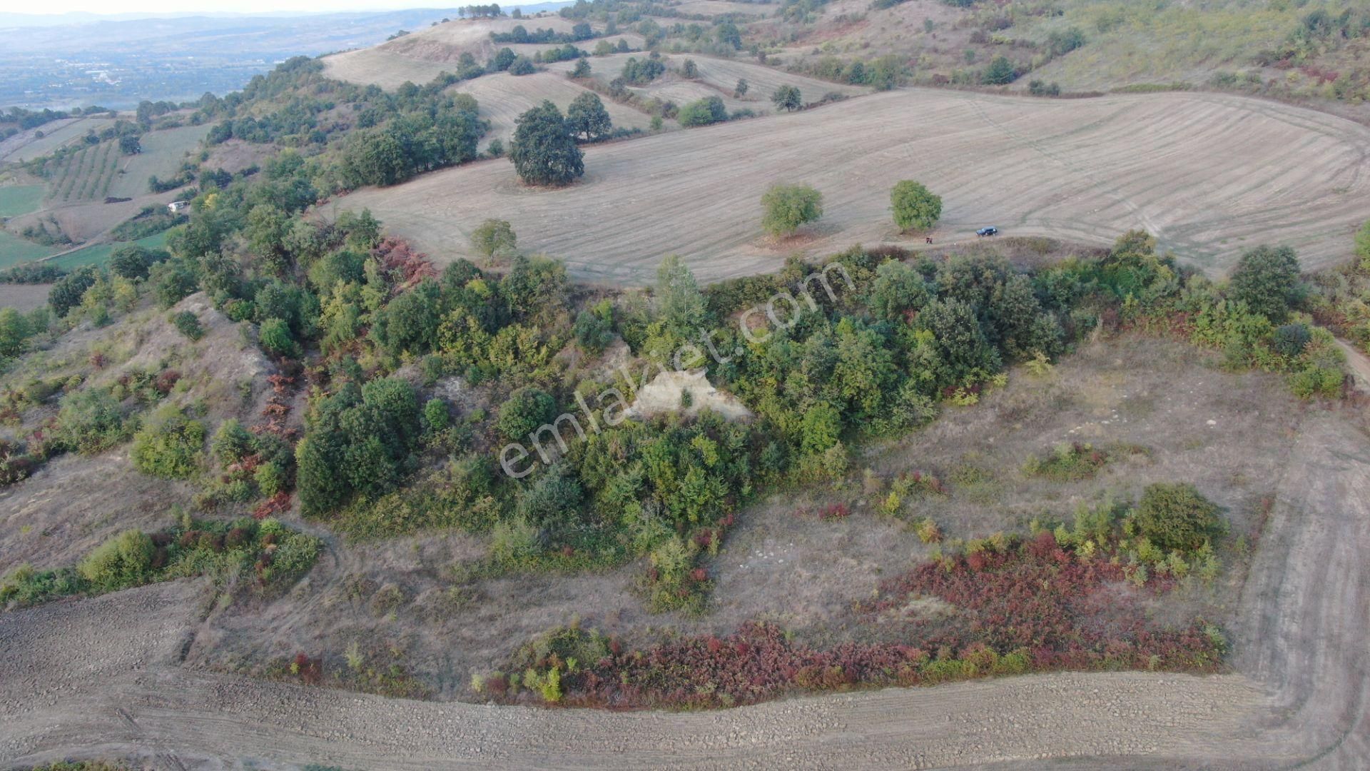 Muratbey'de 14.347m2 Yatırımlık Tarla Resmi Yola Cepheli - Görsel 5