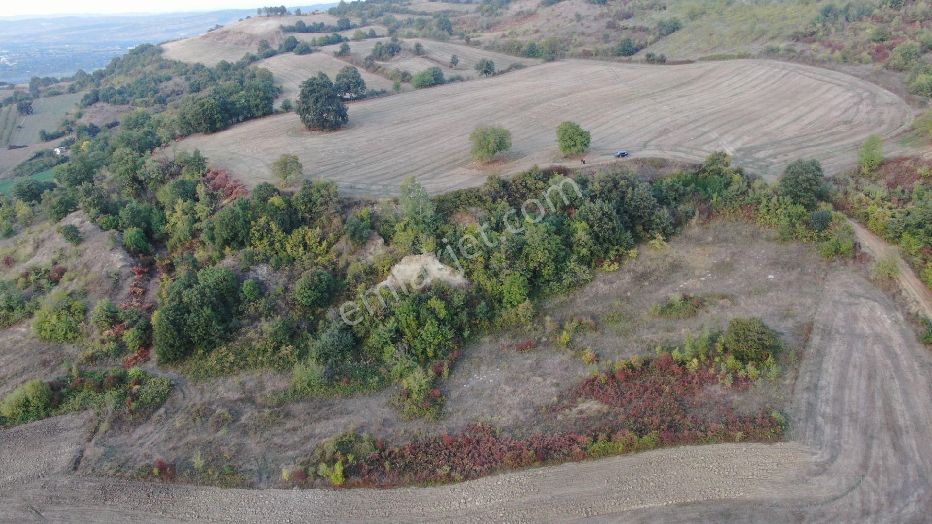Muratbey'de 14.347m2 Yatırımlık Tarla Resmi Yola Cepheli - Görsel 19