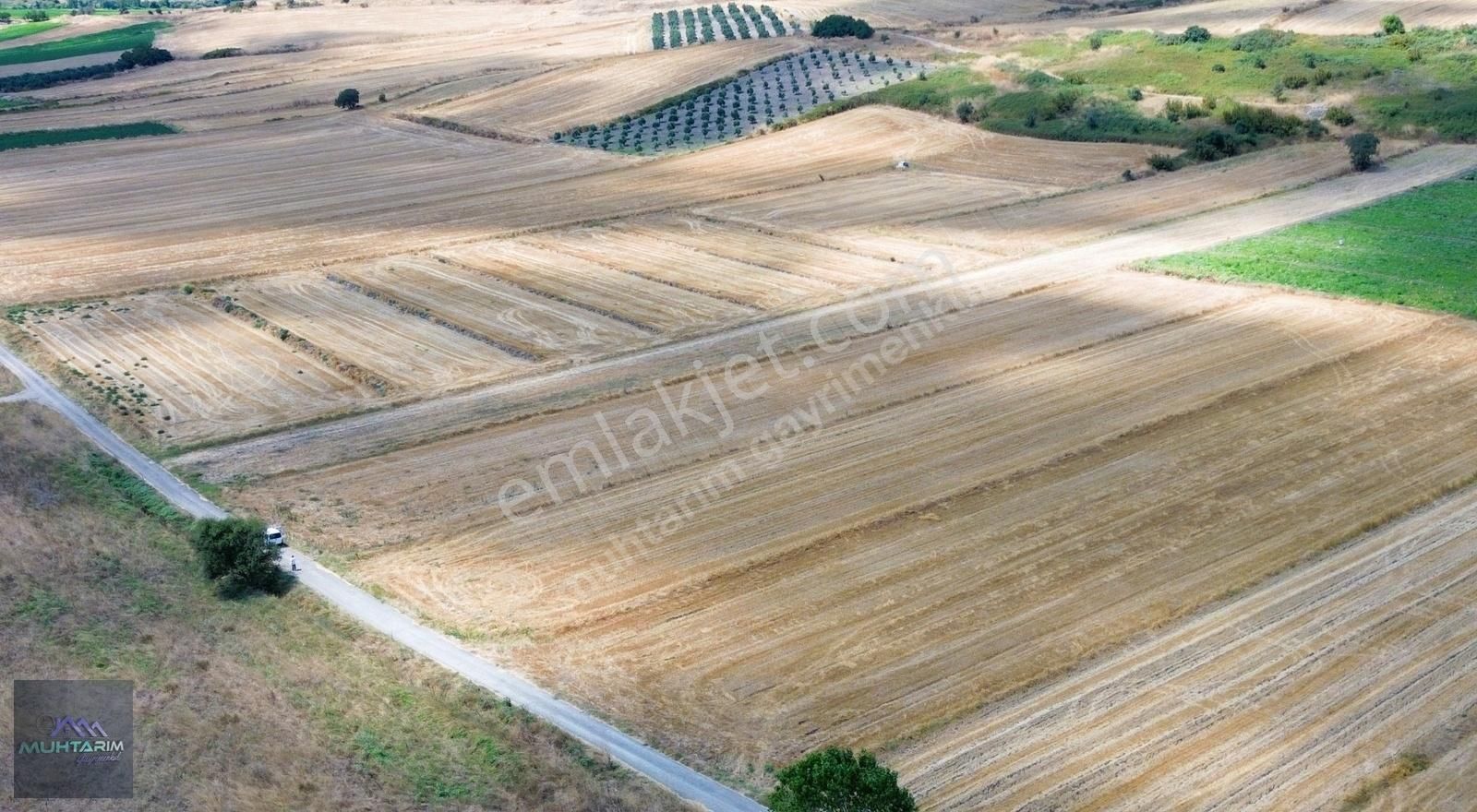 Gönen Körpeağaç Satılık Tarla Kaçırma Körpeağaç Mah. 6.100 M2 Sulu Tarım Fırsat Tarla