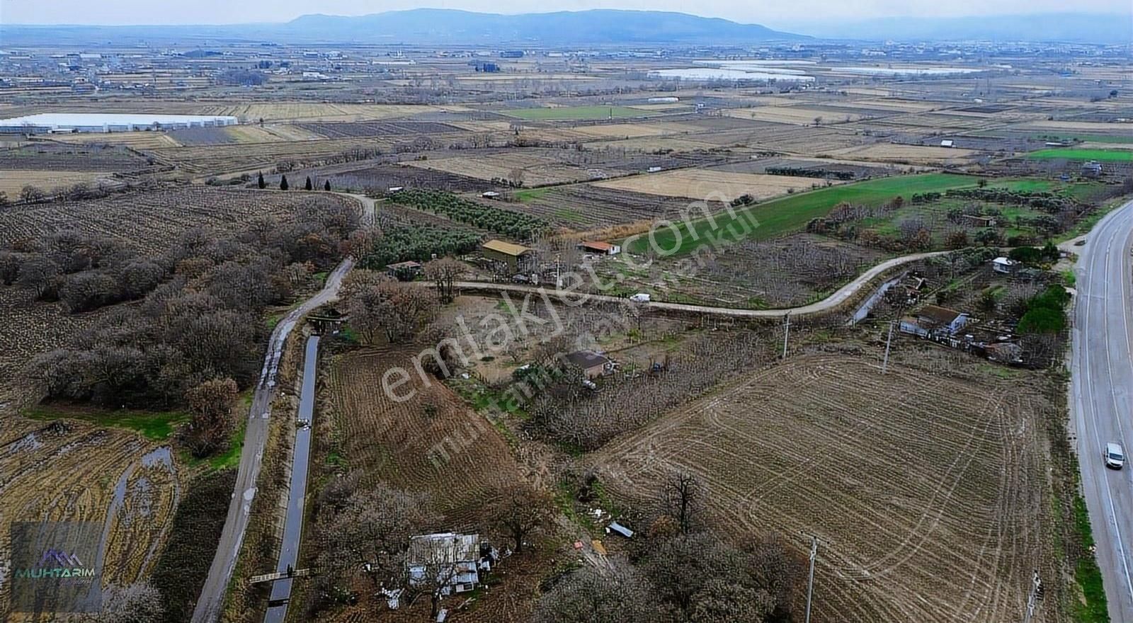 Gönen Hasanbey Satılık Tarla Muhtarımdan Gönenin Dibinde 1.900 M2 Meyve Bahçesi