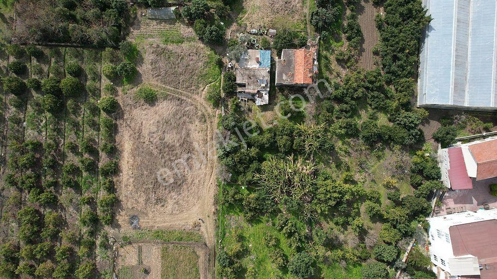 Alanya Kestel'de Satılık 731m2 Arsa - Görsel 15