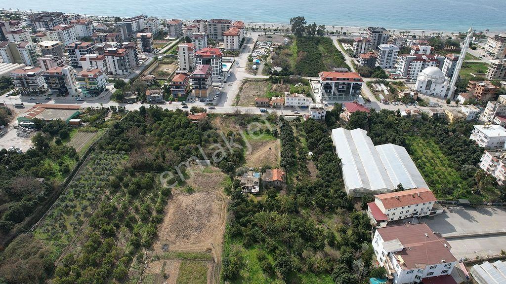 Alanya Kestel'de Satılık 731m2 Arsa - Görsel 12