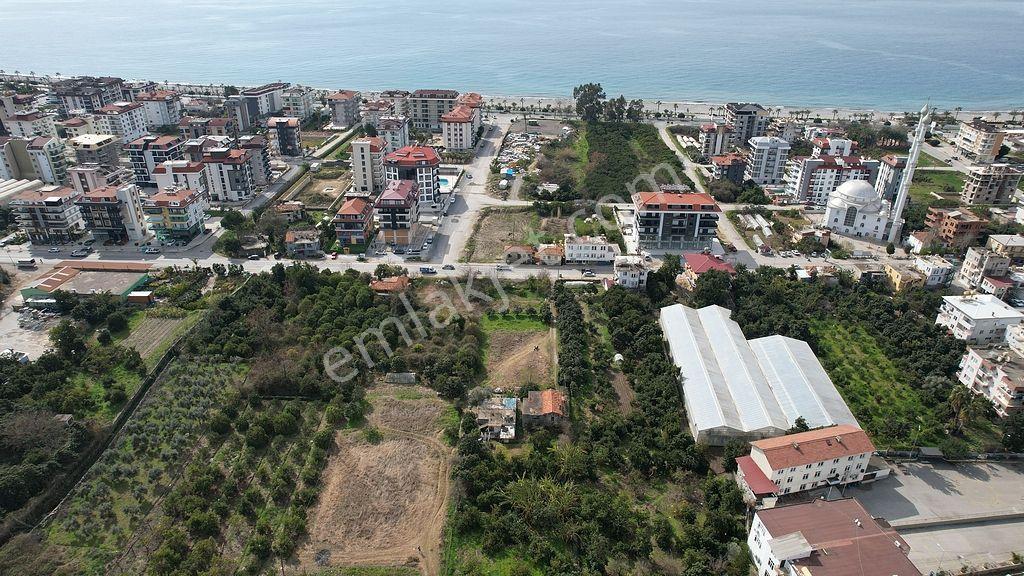 Alanya Kestel'de Satılık 731m2 Arsa - Görsel 9