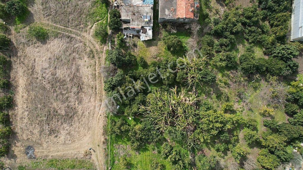 Alanya Kestel'de Satılık 731m2 Arsa - Görsel 6