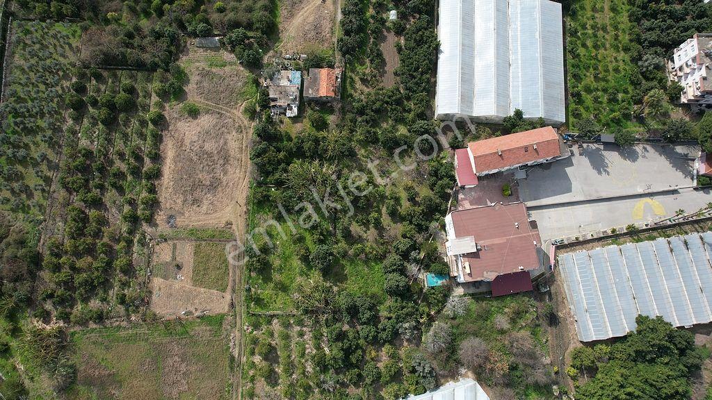 Alanya Kestel'de Satılık 731m2 Arsa - Görsel 13
