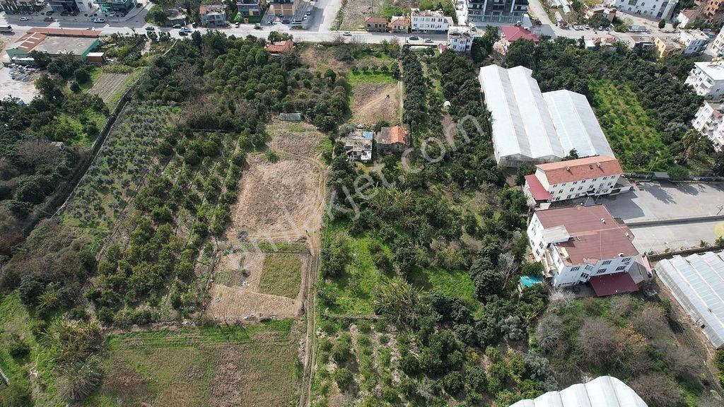 Alanya Kestel'de Satılık 731m2 Arsa - Görsel 8