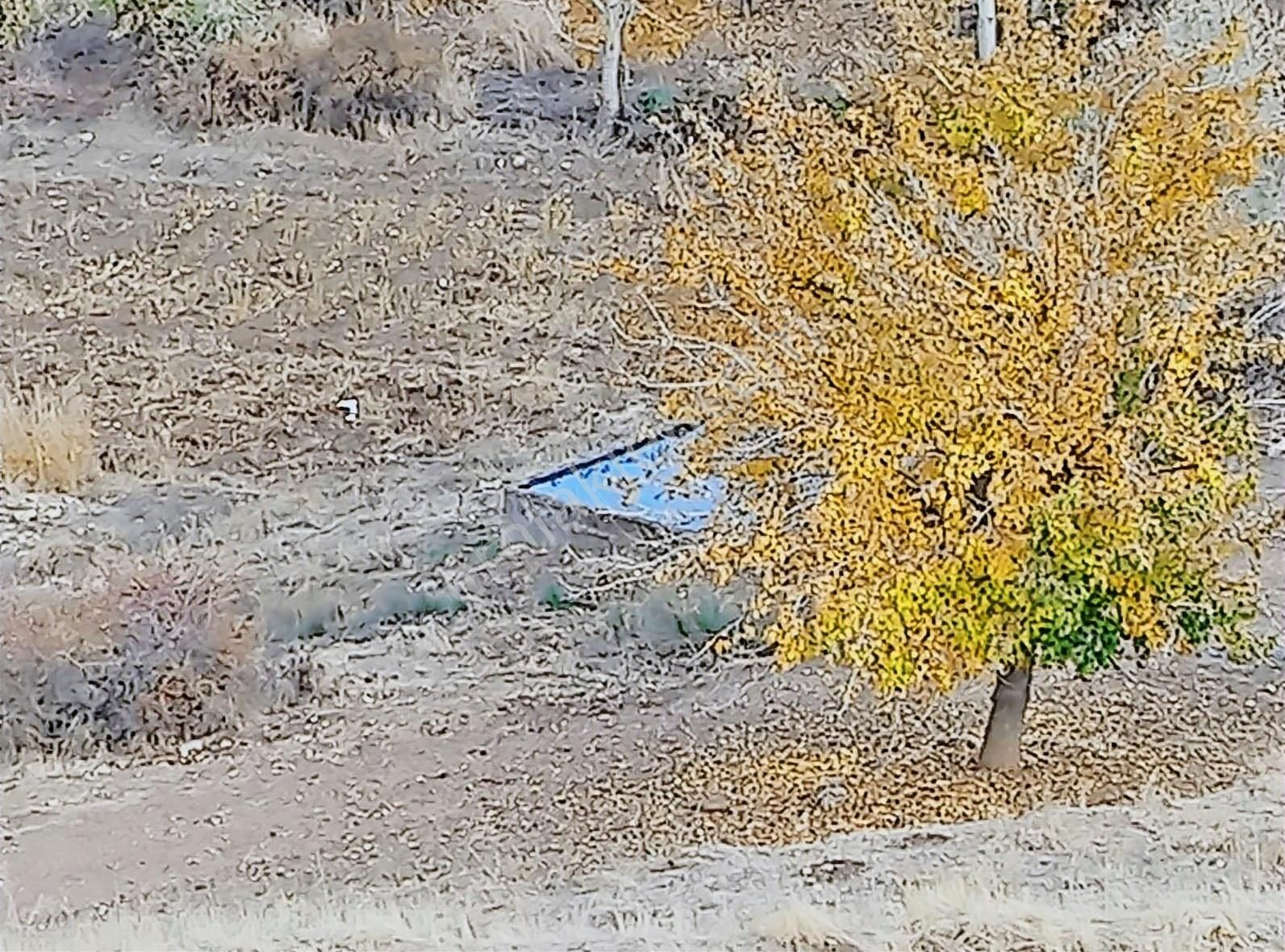 Gölbaşı Balkar Bld. (Cumhuriyet) Satılık Tarla Gölbaşı Çağlar Emlaktan Satılık Tarla 6 Dönüm Balkar