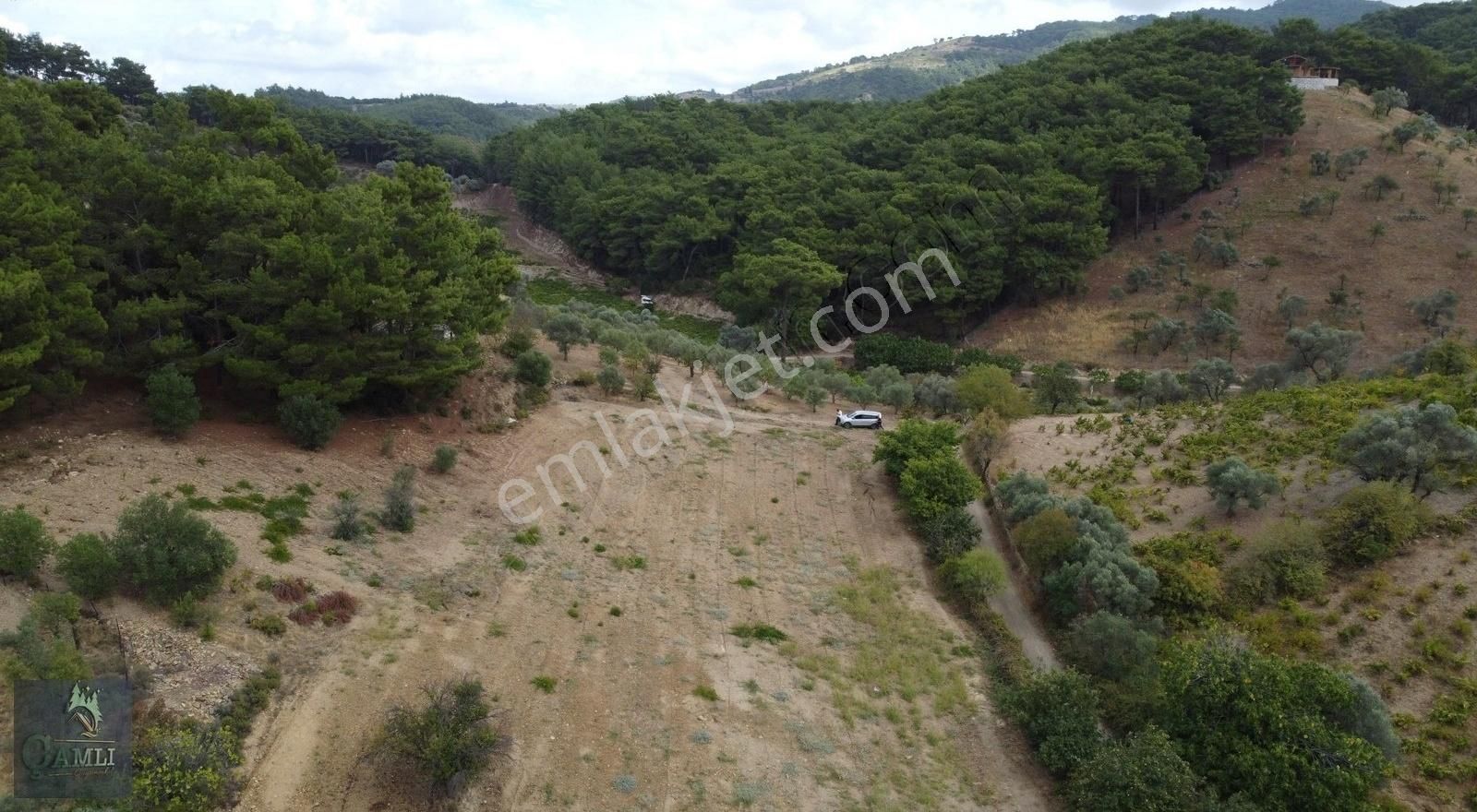 Seferihisar Gödence Satılık Bağ & Bahçe Seferihisar Gödencede Muhteşem Konumda Bağ