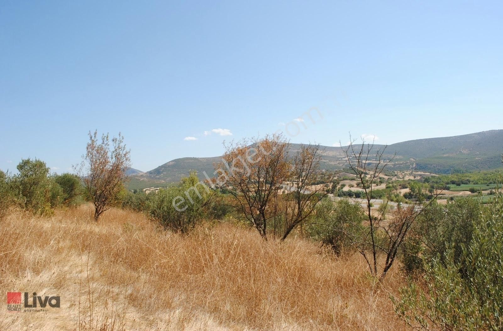 Kepsut Karaçaltı Satılık Tarla Rw Liva Dan Kepsut'ta Kütahya Yolunda Zeytinlik Ve Tarla