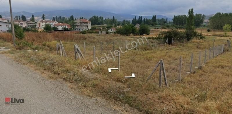 Kepsut Yenice Satılık Konut İmarlı Liva'dan Kepsut Yenice Mahallesinde Kaçırılmayacak Konut Arsası