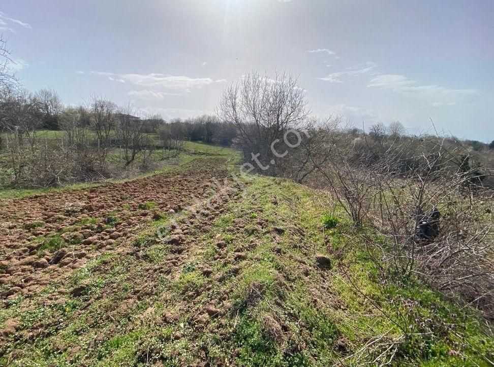 Çelik'ten İnegöl Sülüklügöl'de Köy İçi 358 M2 Arsa - Görsel 14