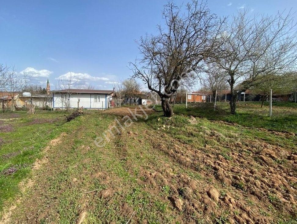 Çelik'ten İnegöl Sülüklügöl'de Köy İçi 358 M2 Arsa - Görsel 9