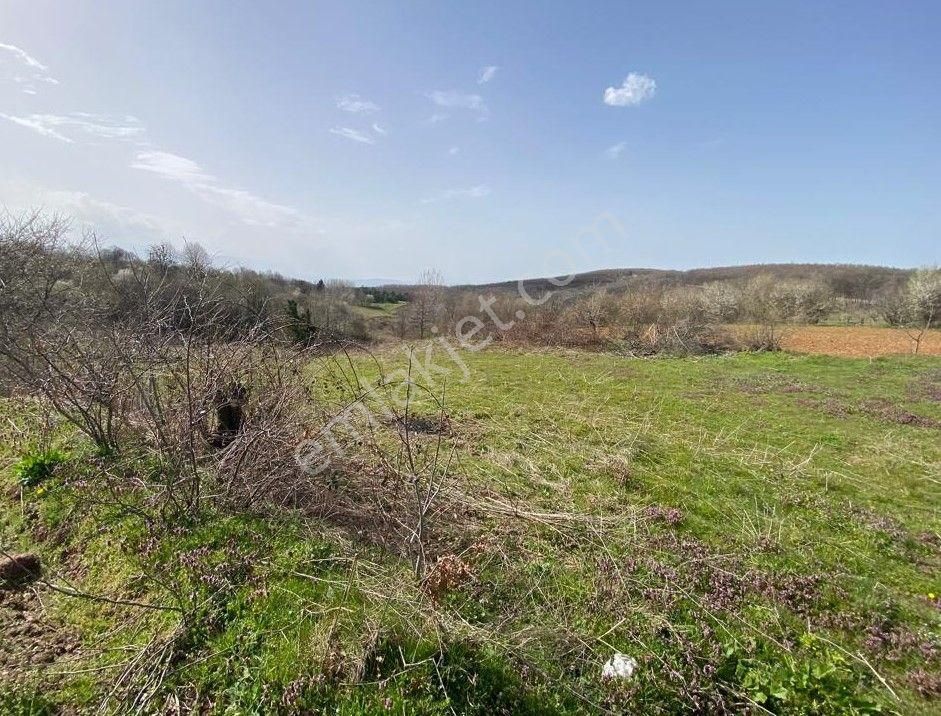 Çelik'ten İnegöl Sülüklügöl'de Köy İçi 358 M2 Arsa - Görsel 4