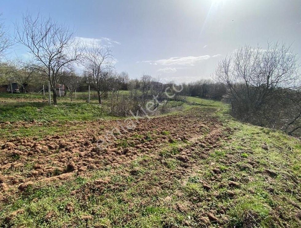 Çelik'ten İnegöl Sülüklügöl'de Köy İçi 358 M2 Arsa - Görsel 10