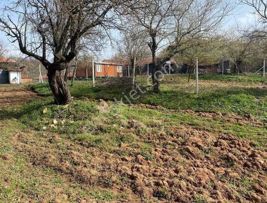 Çelik'ten İnegöl Sülüklügöl'de Köy İçi 358 M2 Arsa - Görsel 15