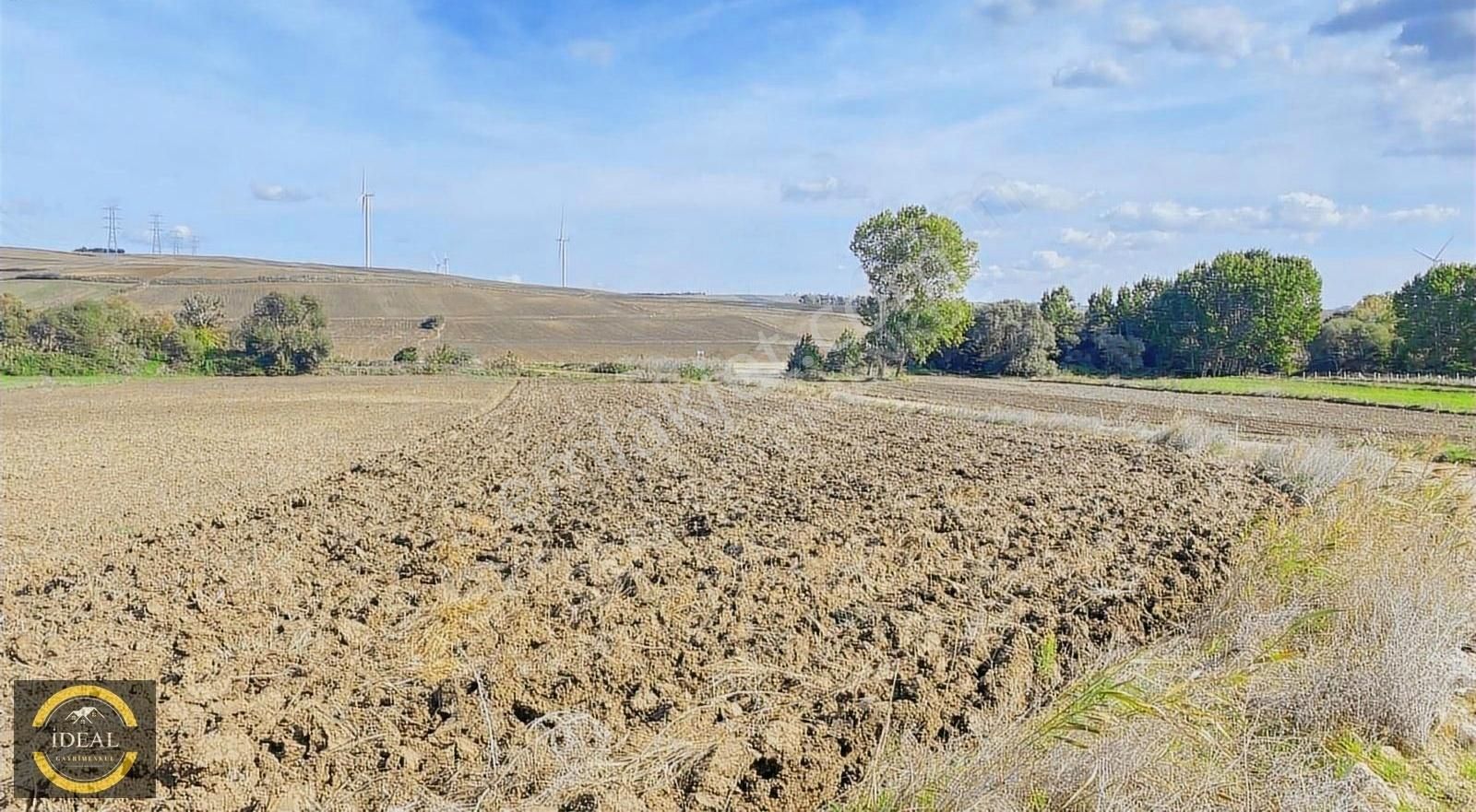 Silivri Büyük Kılıçlı Satılık Tarla B.kılıçlı Da Köy E Yakın Tarla