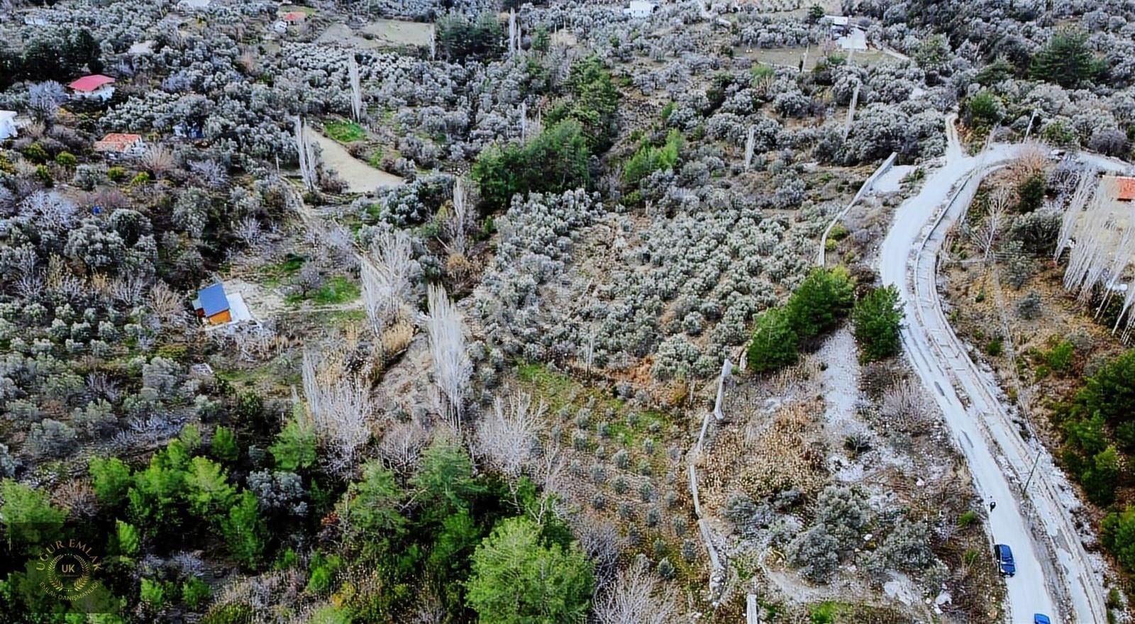 Seydikemer Söğütlüdere Satılık Bağ & Bahçe Uğur Emlaktan Seydikemer Söğütlüdere'de 1600 M2 Kupon Arazi