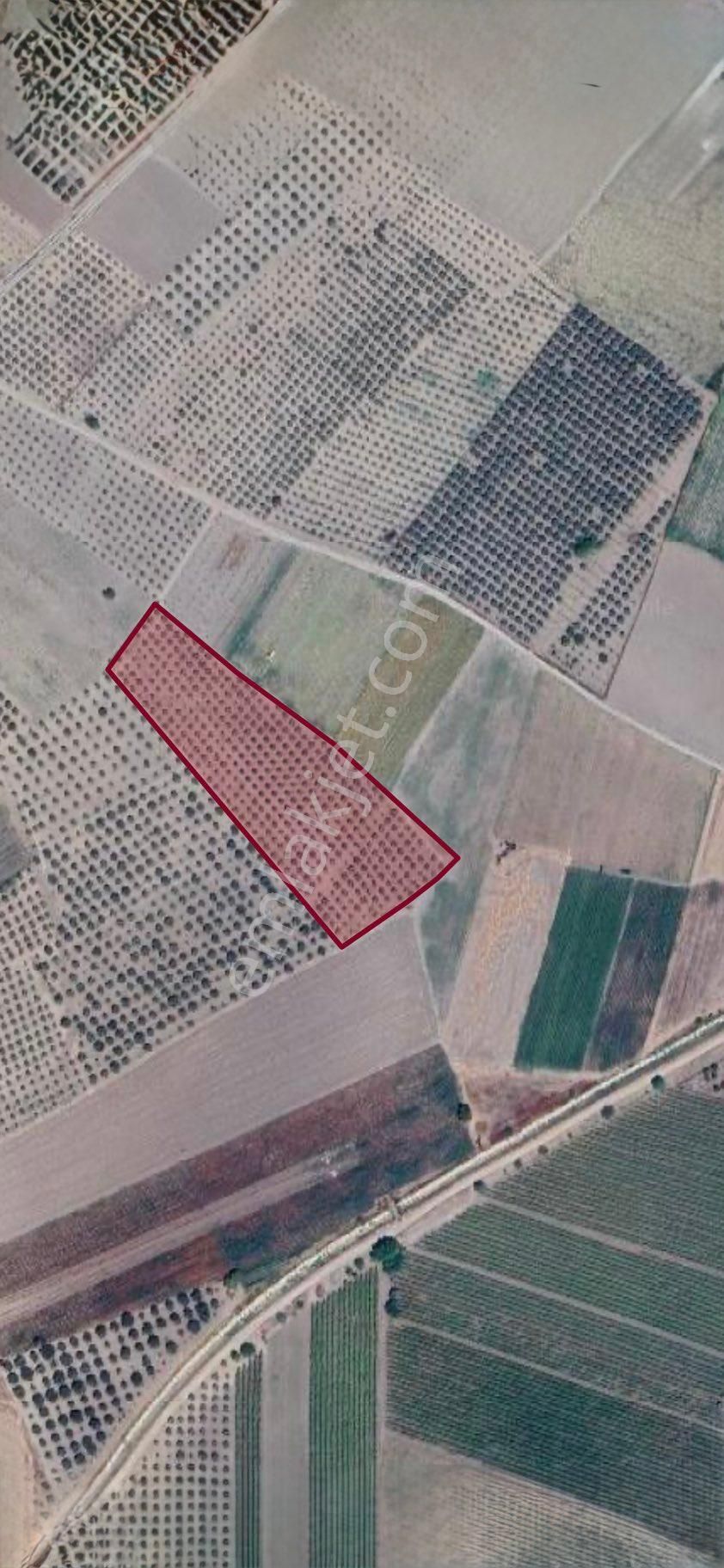 Beyaz Gayrımenkul Den Satılık Kalemli Mh 13,506 M2 Zeytinlik - Görsel 4