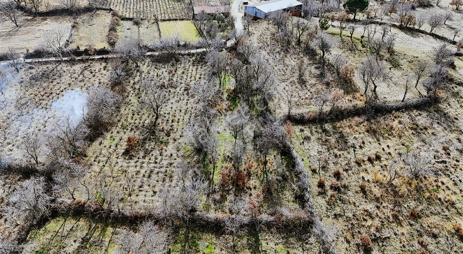 Bayramiç Külcüler Köyü Satılık Tarla Çanakkale Bayramiç Külcüler Küyü Satılık Arazi