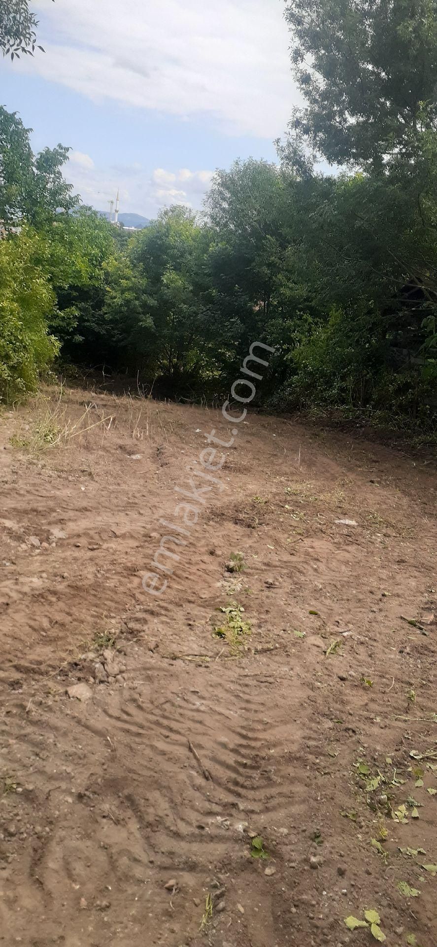 Atakum Kamalida Koy İçi Tek Tapu Arsa - Görsel 4