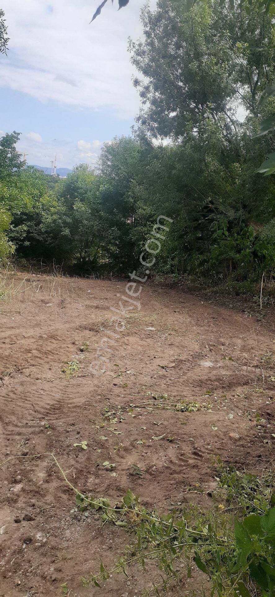 Atakum Kamalida Koy İçi Tek Tapu Arsa - Görsel 3