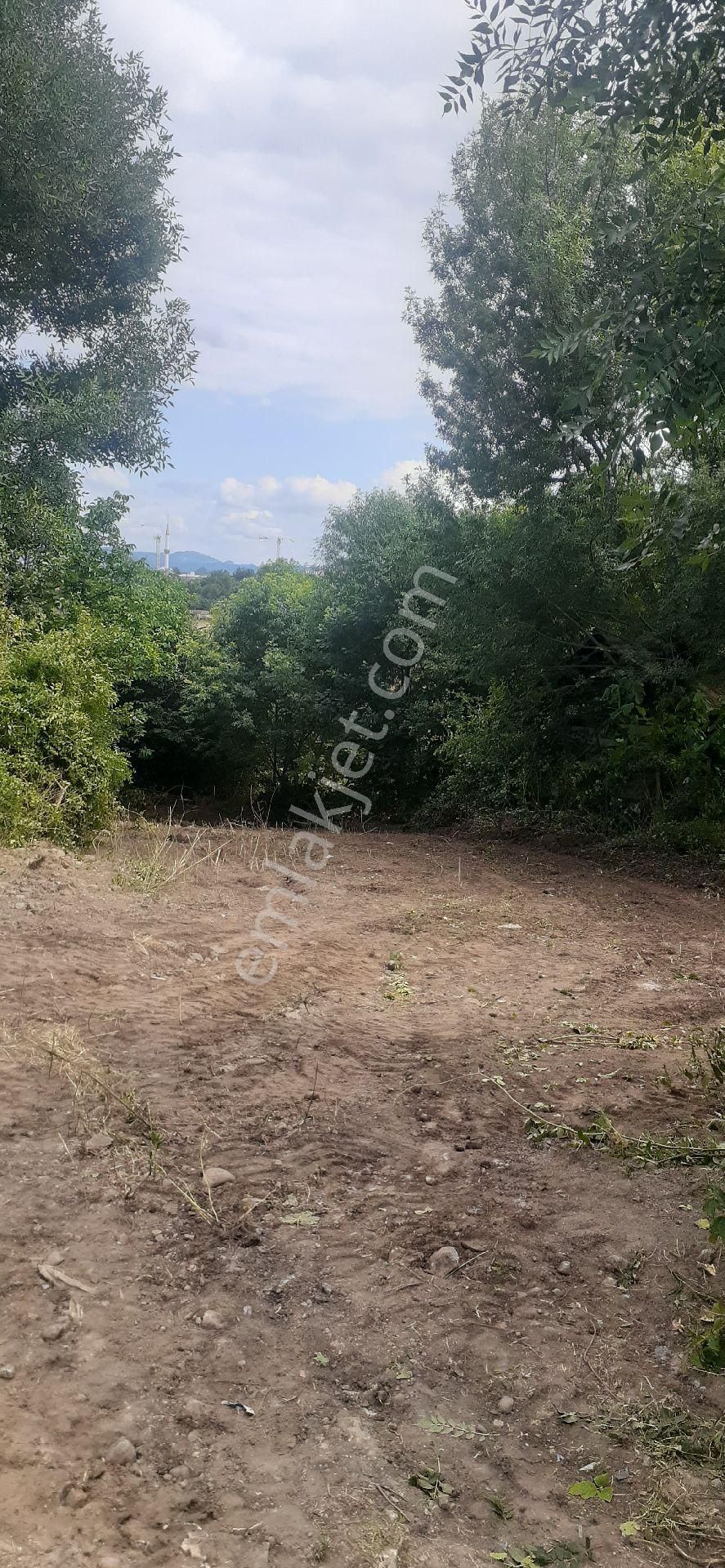 Atakum Kamalida Koy İçi Tek Tapu Arsa