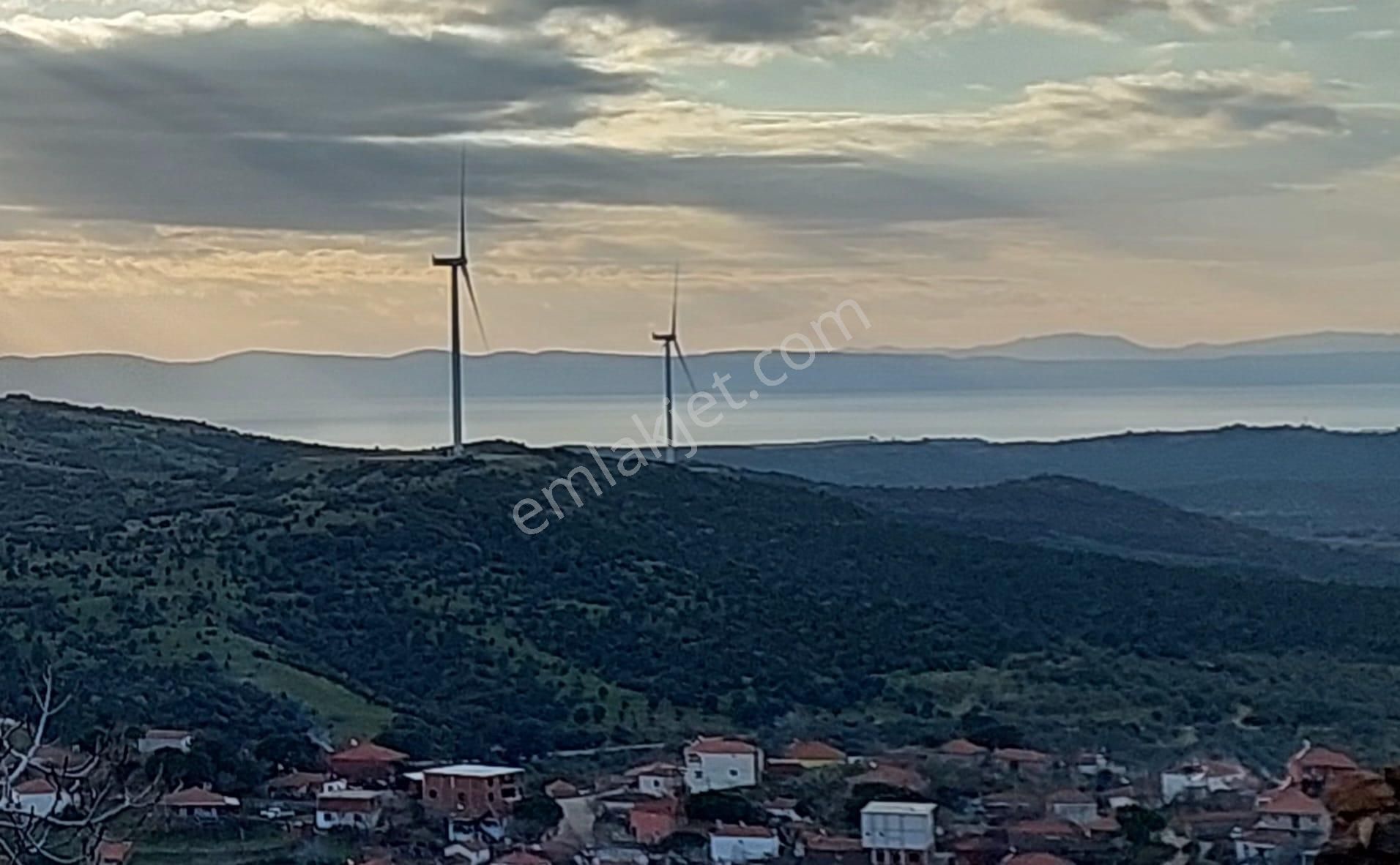 Ayvalık Bulutçeşme Satılık Müstakil Ev Balıkesir Ayvalık Bulutçeşme Köyü Satılık Natamam Köy Evi Yazlık